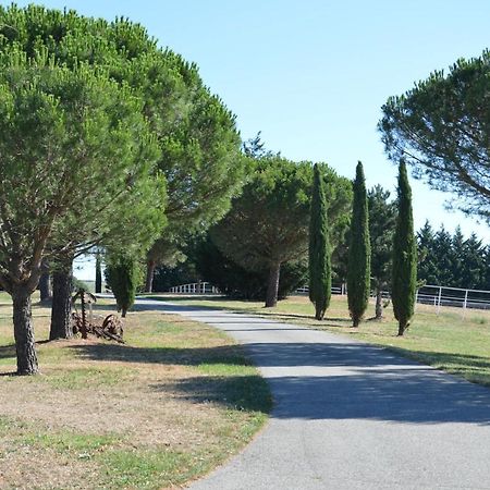 Le Chardonneret Du Domaine Du Moulin 15 Villa Etables  Eksteriør bilde